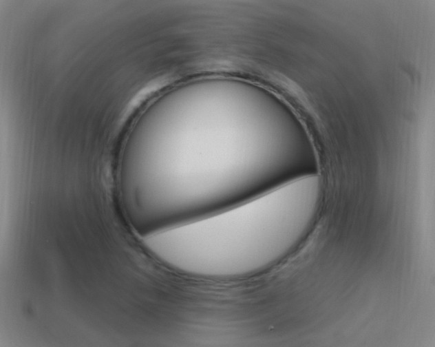 X0000114701218200910211002