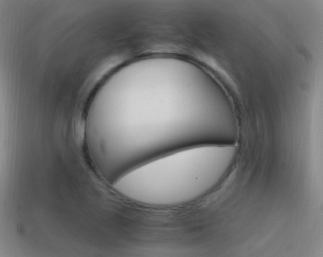X0000114701221200910211002