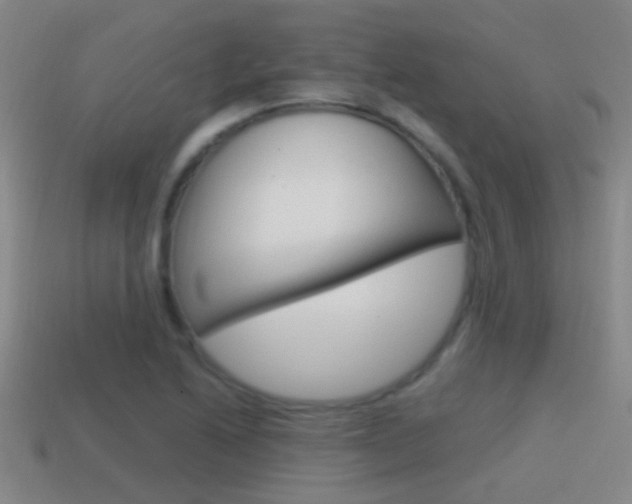 X0000114701222200910211002