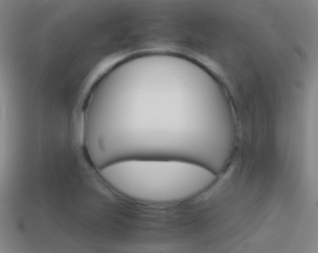 X0000114701223200910211002