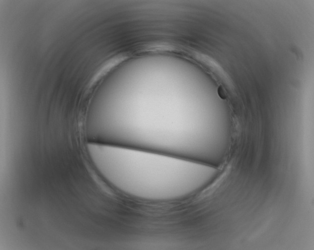 X0000114701225200910211002