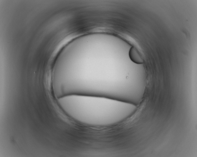 X0000114701227200910211002