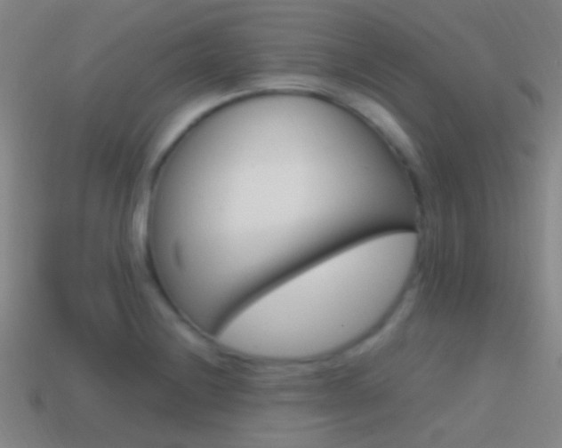 X0000114701228200910211002