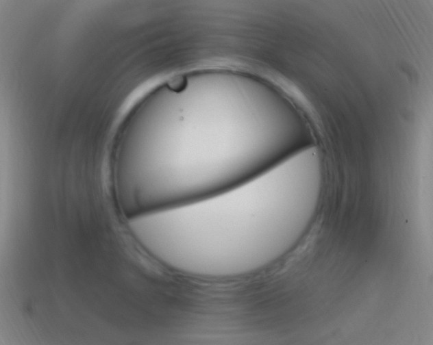 X0000114701230200910211002