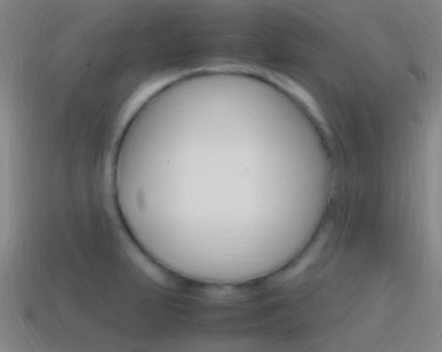 X0000114701231200910211002