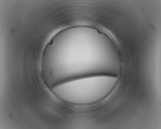 X0000114701236200910211002