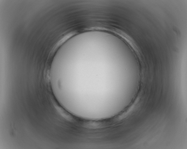 X0000114701241200910211002