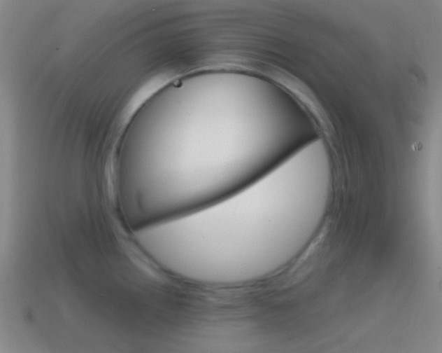 X0000114701242200910211002