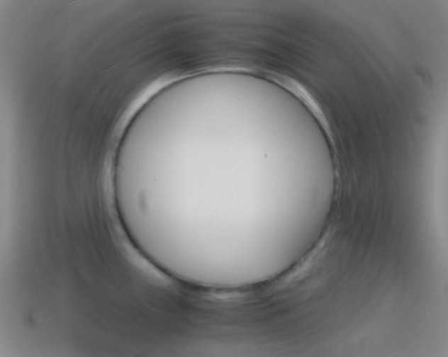 X0000114701243200910211002