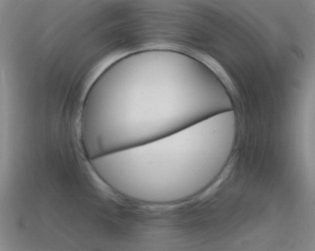 X0000114701244200910211002
