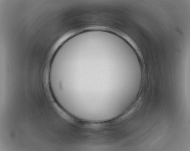 X0000114701245200910211002