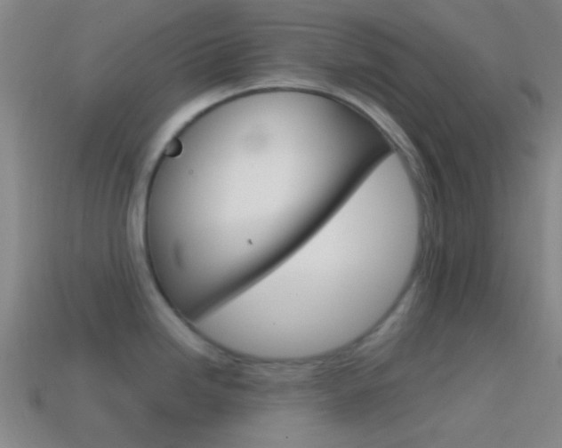 X0000114701246200910211002