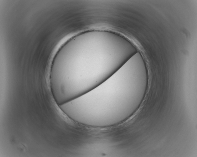 X0000114701248200910211002