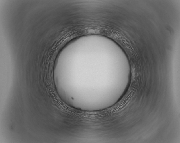 X0000114701249200910211001