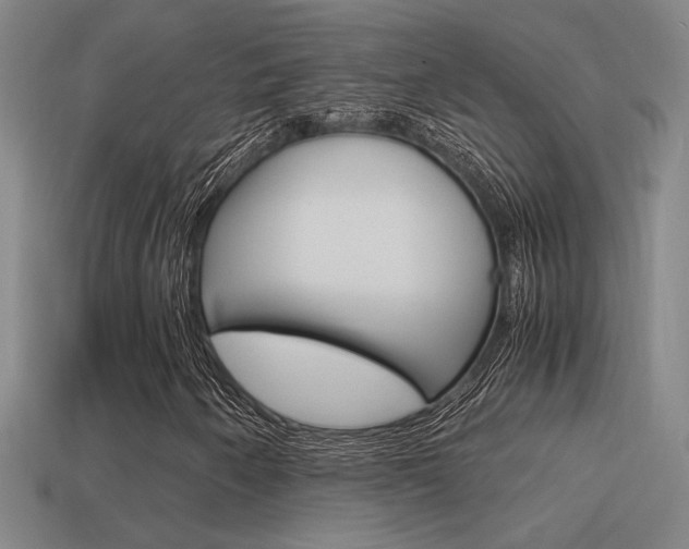 X0000114701250200910211001