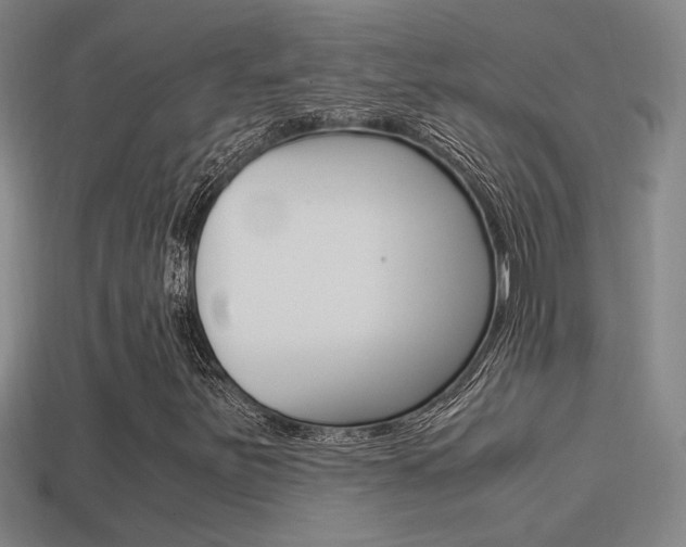 X0000114701251200910211001
