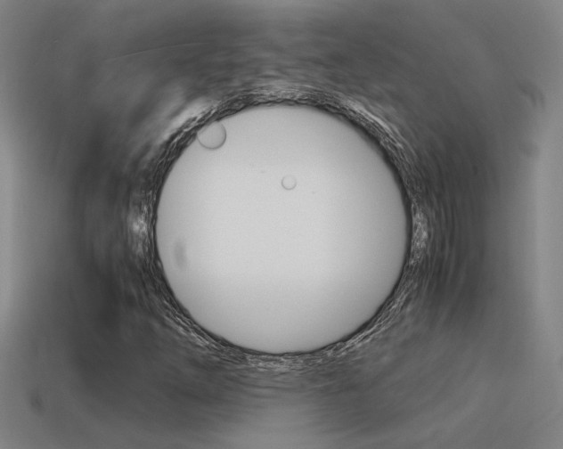 X0000114701254200910211001