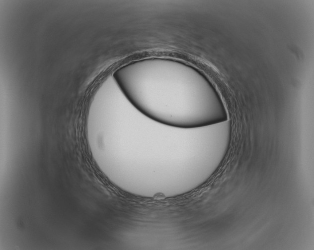 X0000114701255200910211001
