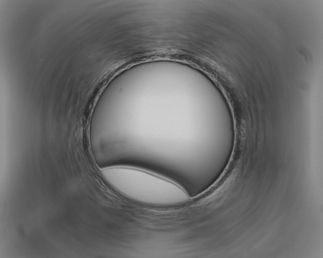 X0000114701257200910211001