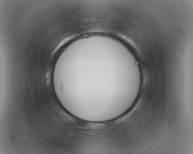 X0000114701258200910211001