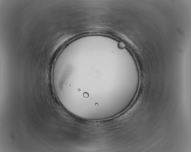 X0000114701259200910211001