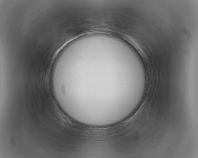 X0000114701260200910211001