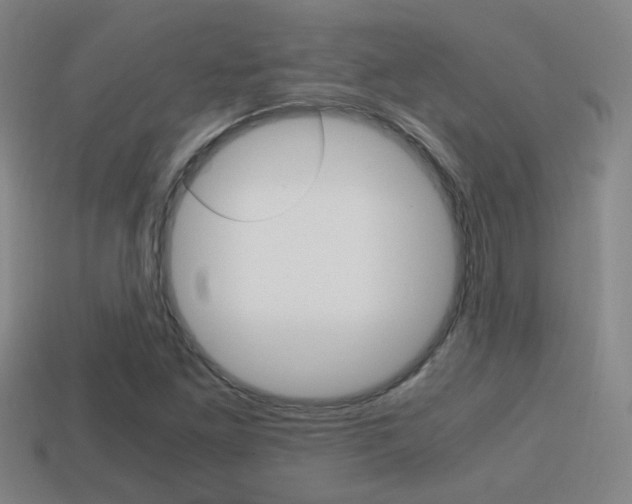 X0000114701261200910211001