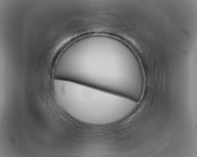 X0000114701263200910211001
