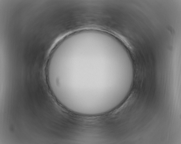 X0000114701264200910211001