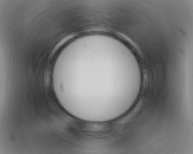 X0000114701266200910211001