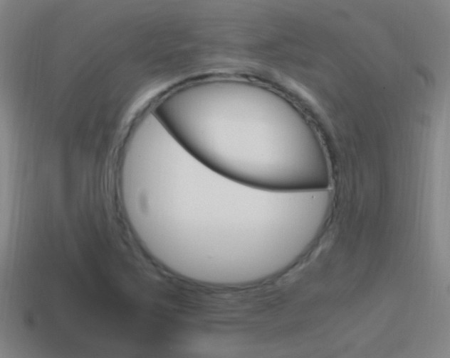 X0000114701267200910211001