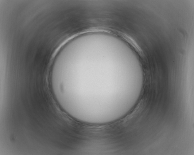 X0000114701268200910211001