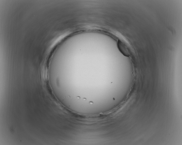 X0000114701269200910211001