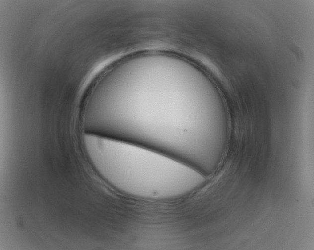 X0000114701270200910211001