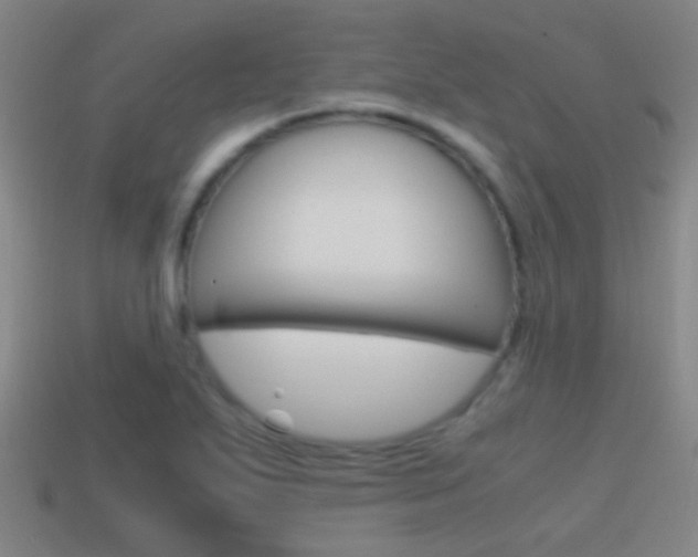 X0000114701271200910211001
