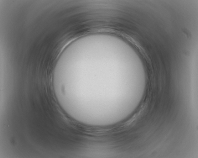 X0000114701273200910211001