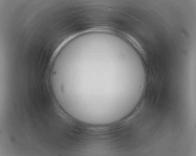 X0000114701276200910211001