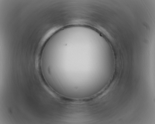 X0000114701277200910211001