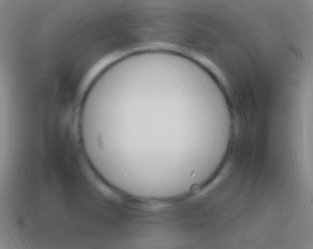 X0000114701278200910211001