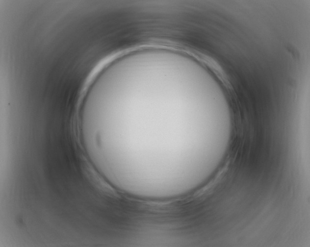 X0000114701280200910211001
