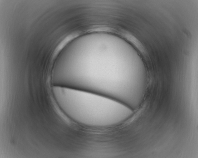X0000114701282200910211001