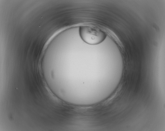 X0000114701284200910211001