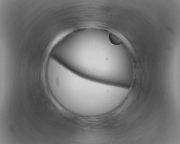 X0000114701285200910211001