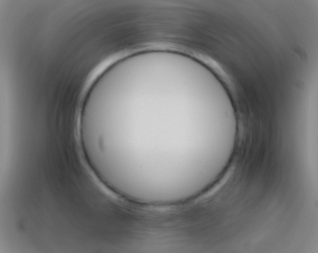 X0000114701286200910211001