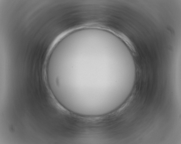 X0000114701288200910211001