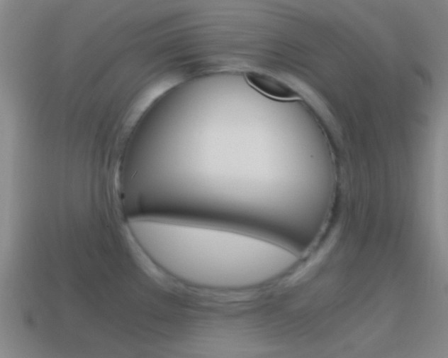 X0000114701289200910211001