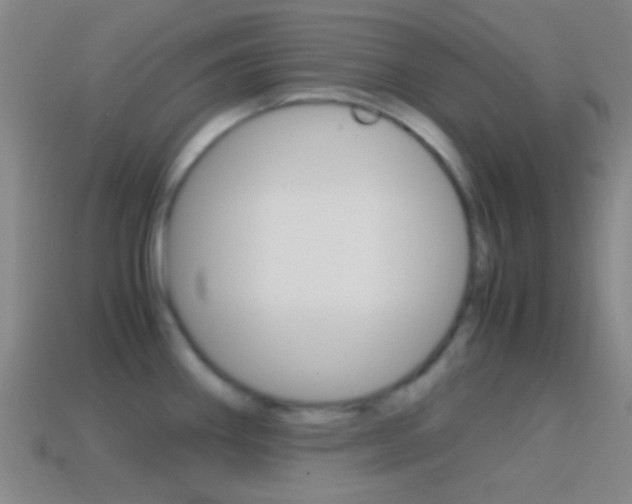 X0000114701290200910211001
