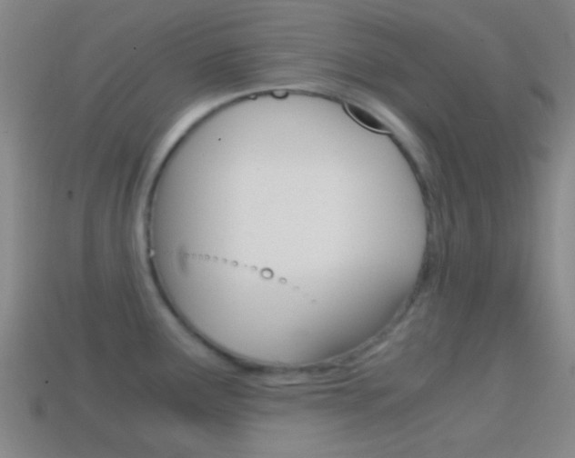 X0000114701291200910211001