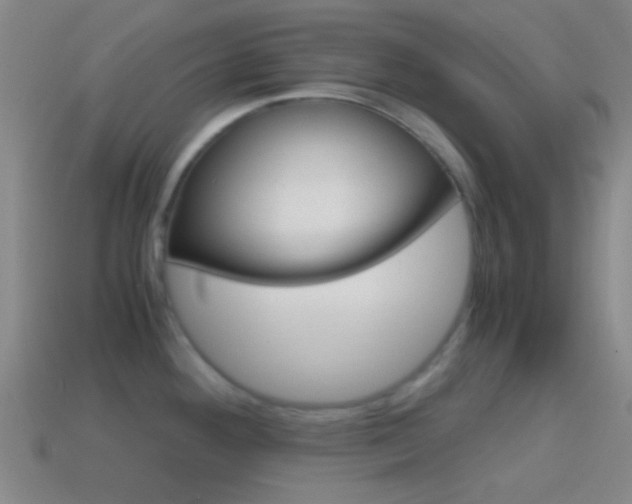 X0000114701292200910211001