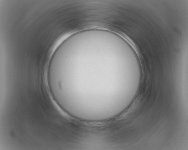 X0000114701293200910211001